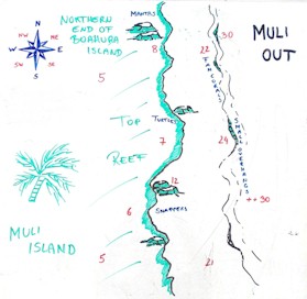 Muli Out